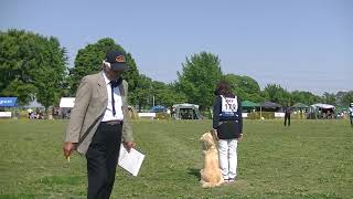 2018春季訓練競技大会決定戦(CD2ミッシェル)