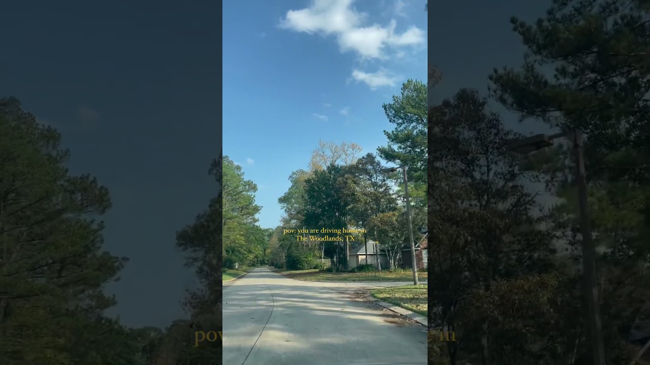 POV: You are driving home in The Woodlands, TX | Jo & Co.