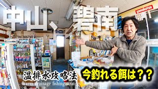 ［武豊温排水］黒鯛に有効なエサは本虫じゃない？？　※エサ新釣具店