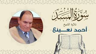 القارئ  الطبيب أحمد نعينع سورة المسد Quran - Sheikh Doctor Ahmed Nainaa