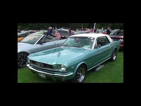 Pony & Muscle