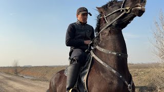 : SAMARQAND URGUTDA 4 Ta OT sotdim ULOQDA