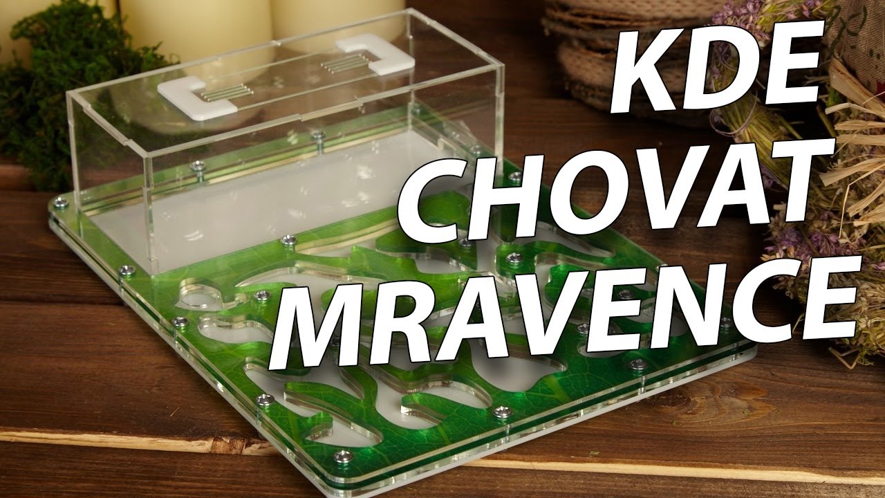 Formikárium - Ferda Mravenčí park