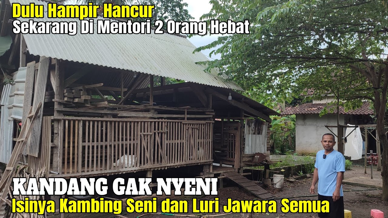 Rusman: Awal Ternak Hancur, Mulai Lagi dan di mentori 2 orang No 1 di Kambing Kontes