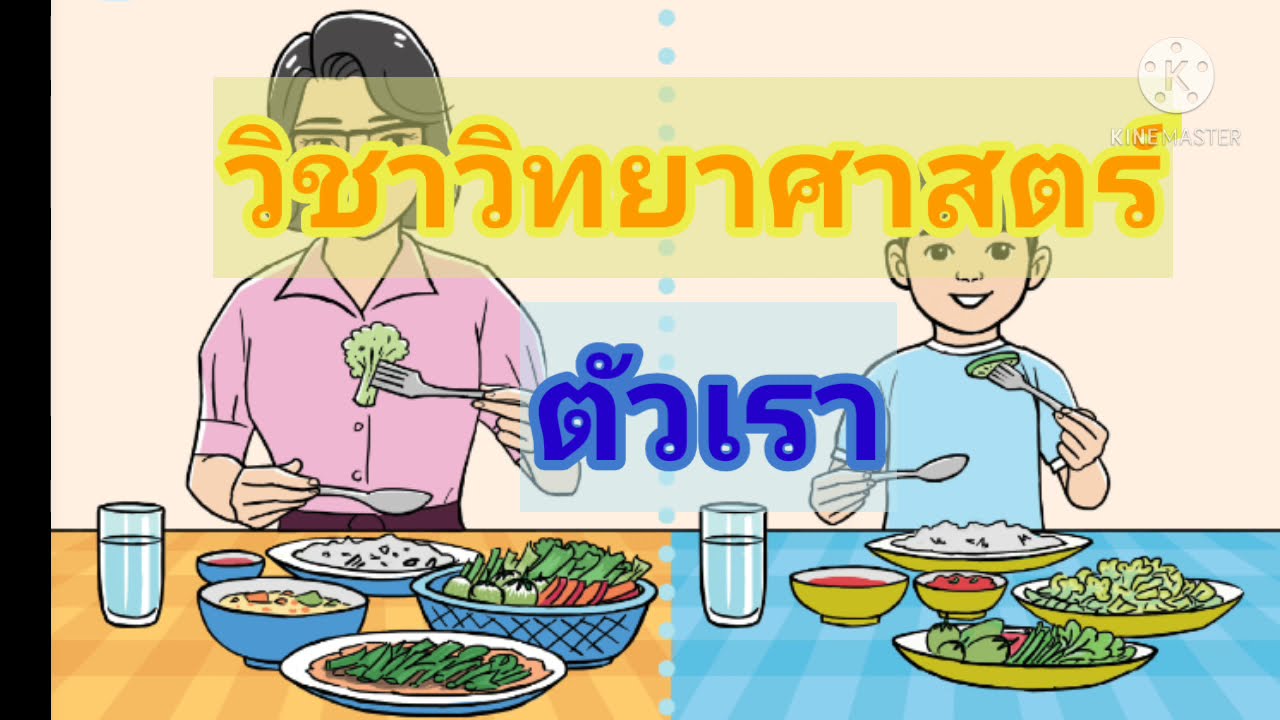 อาหาร หลัก 5 หมู่ คือ อะไร  New Update  อาหารหลัก 5 หมู่  (วิทย์ ป.3)