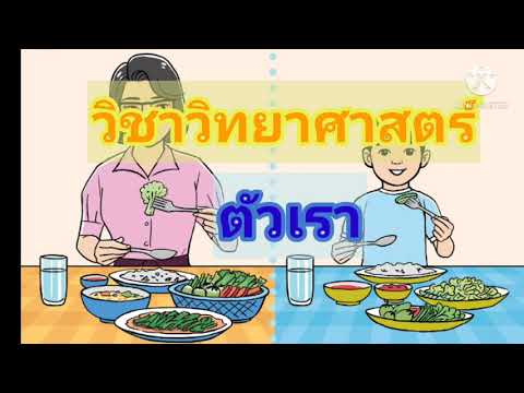 อาหารหลัก 5 หมู่ (วิทย์ ป.3)
