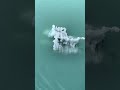 A bergie bit floats past near the Johns Hopkins Glacier and Jaw Point in Glacier Bay National Park