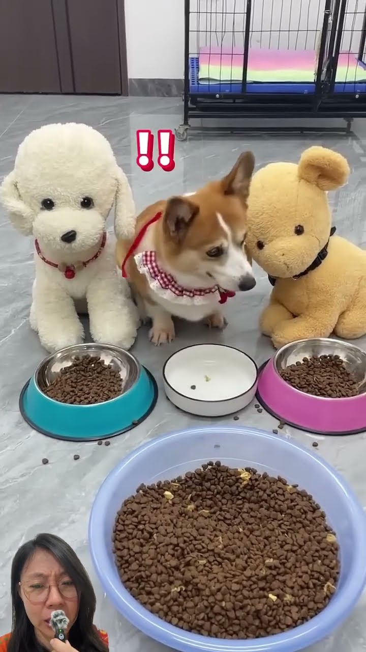 KOK CUMA SEBIJI‼️MAMA GAK ADIL‼️??