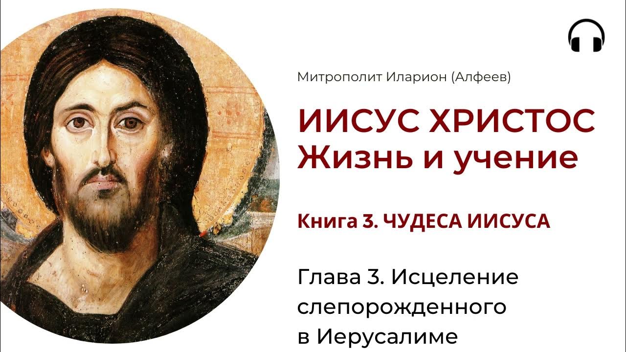 Портал иисус ультрамарафон библия за год. Портал иисус ультрамарафон библия за год
