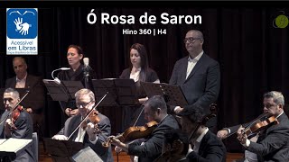 Video thumbnail of "Hino 360 - Ó Rosa de Saron | Hinário 4 CCB"