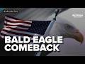 From the Great Seal in 1782 to today, bald eagle makes comeback