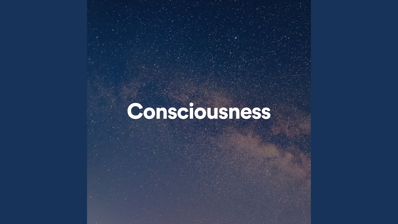 Terrible Forest auf YouTube ansehen Terrible Forest auf YouTube ansehen