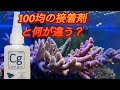 Coral glue ミドリイシにはこれ一択【サンゴ】【接着剤】