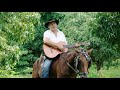 Kiki valera el caballo de curingo en vivo  msica cubana cuban music son cubano guaracha