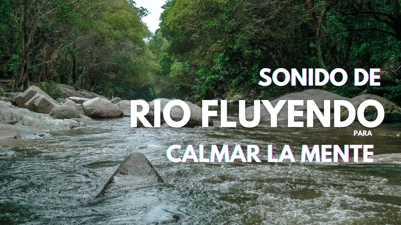 Sonido de Rio Relajante, Rio fluyendo que relaja la mente. Sonido de ...