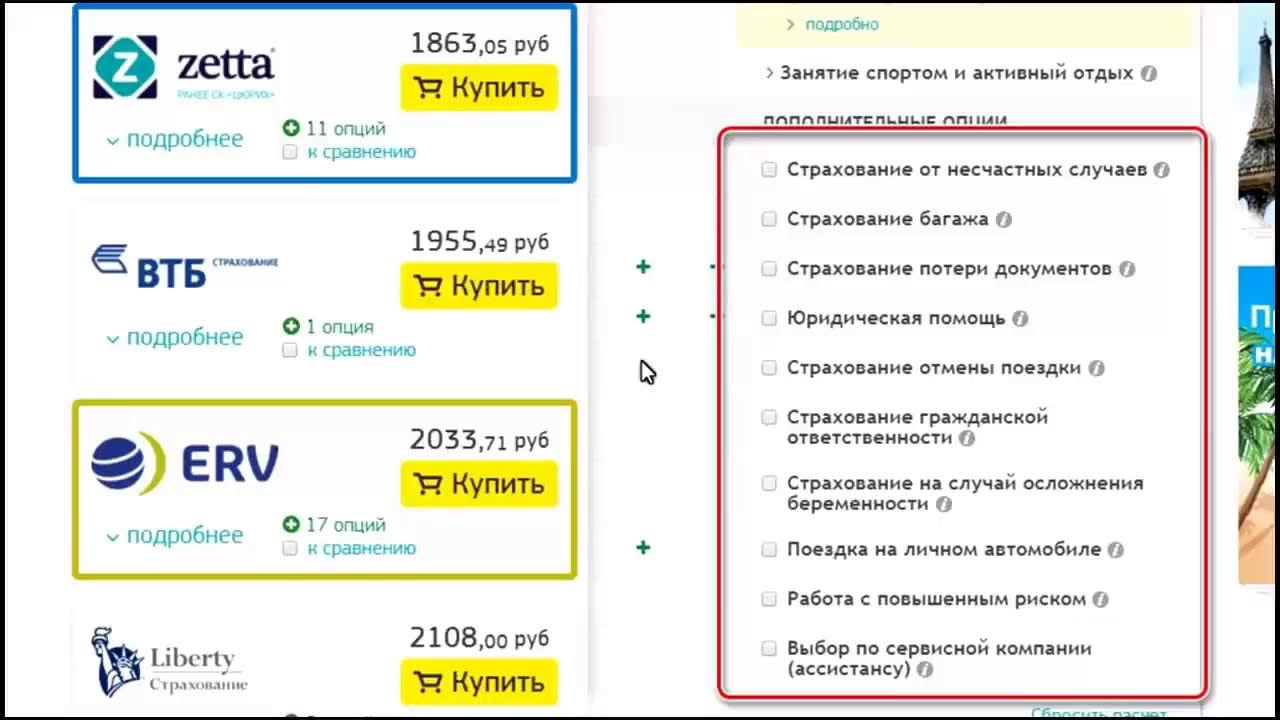 Страховка для путешествий черепаха