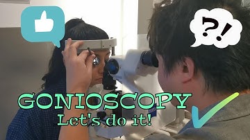 An Everyday Optometrist