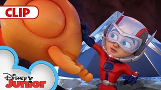 The Ant Thief 🐜 with Ant-Man \& The Wasp | Marvel's Spidey and his Amazing Friends | @disneyjunior​