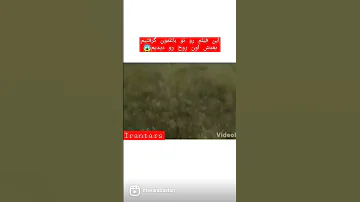 دیده شدن روح در تهران جن تهران روح اجنه ترس وحشت کرج تجریش ایران ایرانی عجیب Scry Ghost 