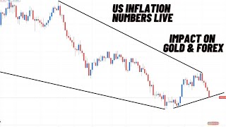 US PPI Numbers Discussion Live | Gold Analysis and Impact | US Inflation Data