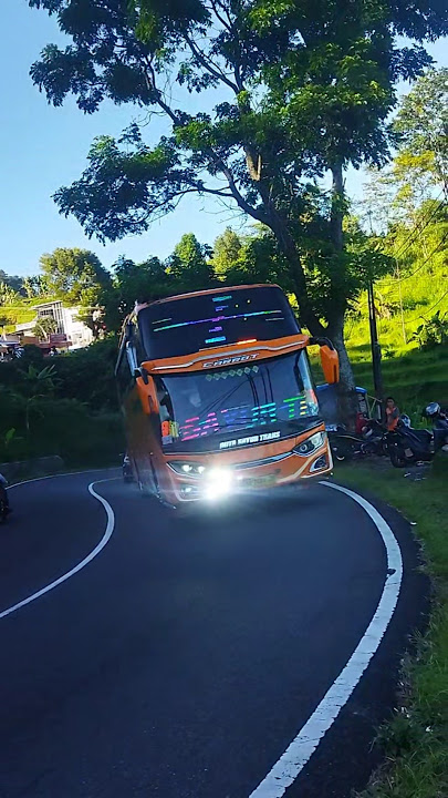 Bukit berbunga Basuri versi duta sayur trans 'Narendra'🎺🤩#shorts #telolet #basuri #viral #subscribe