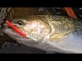 All about Steelhead Worms | Under Floats and Side Drifting