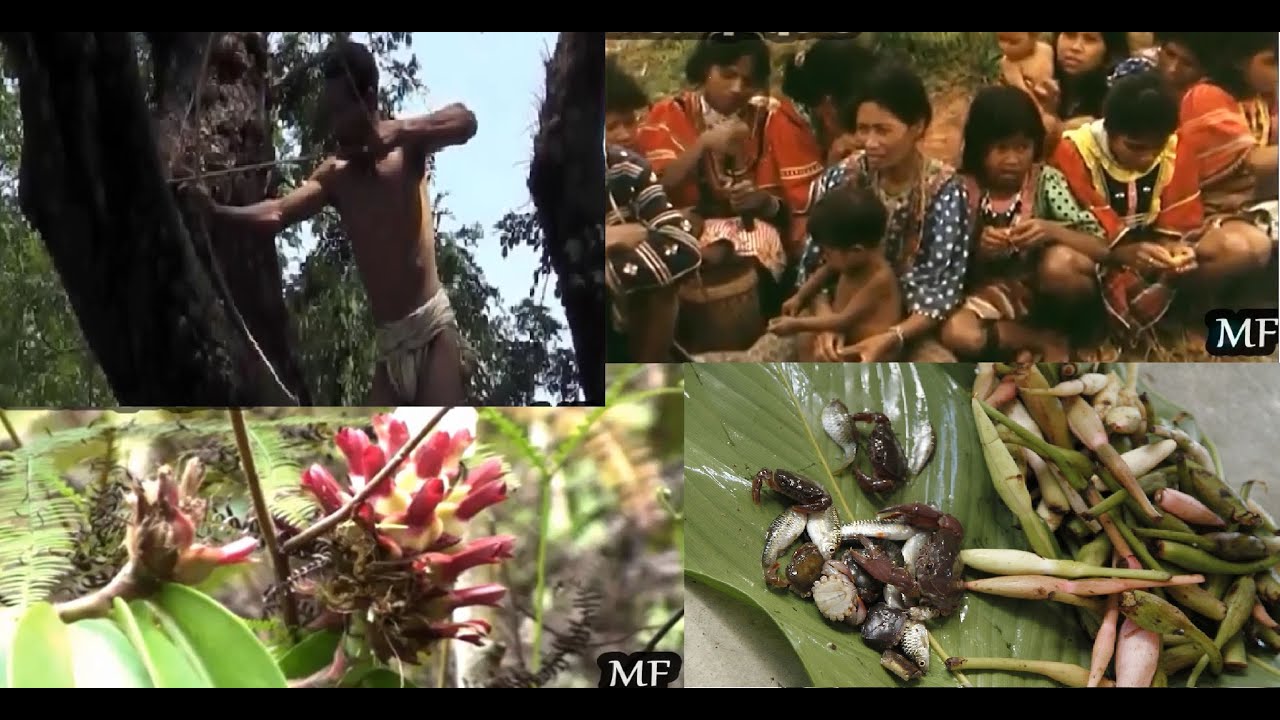 Indigenous Tribes Of The Philippines Youtube - vrogue.co