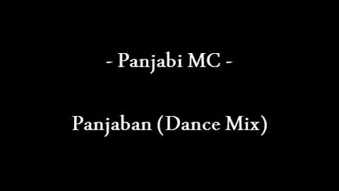 Panjabi MC - Panjaban (Dance Mix).wmv