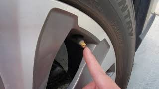 Celebrity Tire Valve Core Change Profile