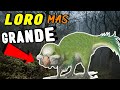 Descubre al Loro Más GRANDE del Mundo 😱 | Revelando el Secreto Mas Asombroso!!