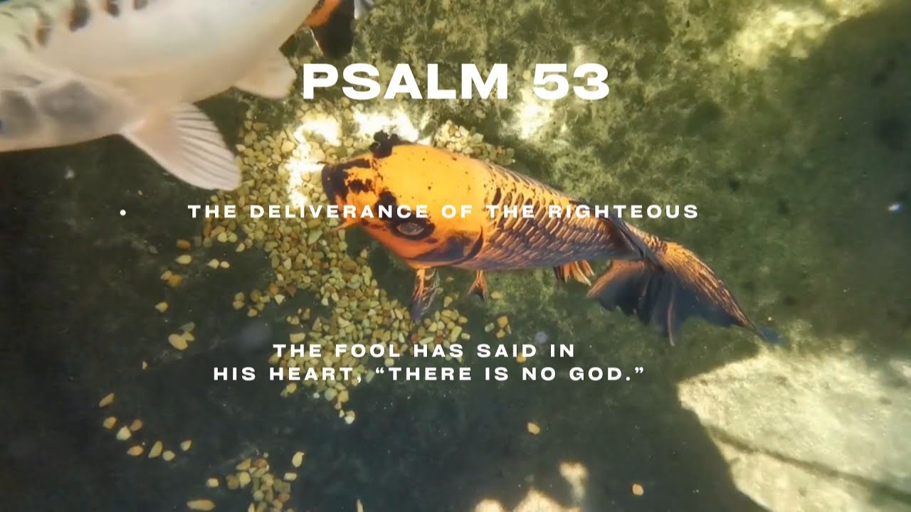 Psalm 53 with Wisdom's Appeal