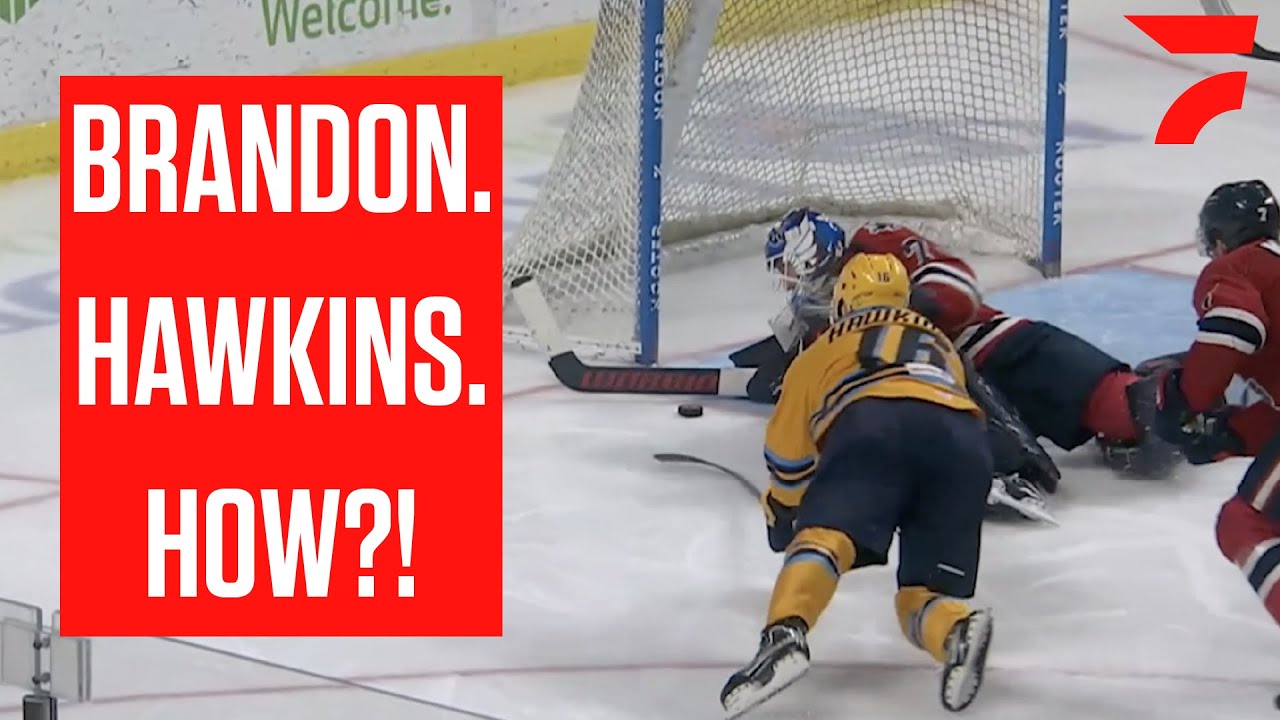 ECHL MVP Brandon Hawkins Scores Playoff OT Stunner For Toledo Walleye ...