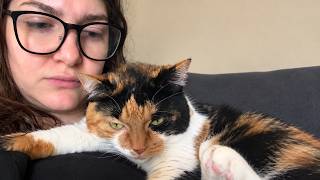 They Adopted a Quiet Shelter Cat… Then She Wouldn’t Stop “Talking”