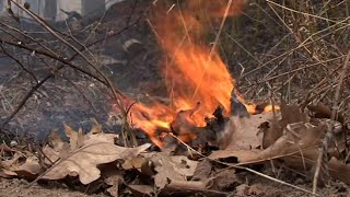 Wildfires Already Popping Up in Lakeland Viewing Area Under Fire Weather Watch | Lakeland News