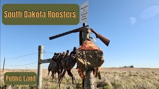 South Dakota Roosters