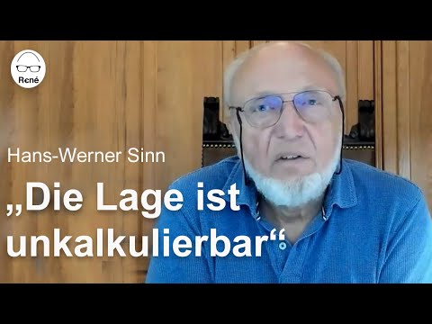 Hans-Werner Sinn: "Die deutsche Industrie ist herzkrank geworden"