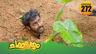 Chakkappazham 2│Comedy Series│EP# 272
