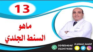 السنط الجلدي .. للدكتور محمد حسين - 13