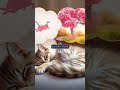 🐾 The Secret Power of Cat Naps: Why Your Cat Is Smarter Than You Think! 💤