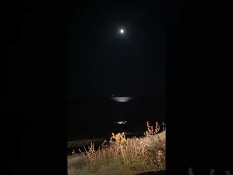 Fluence Snap | Deniz Kenarı Gece