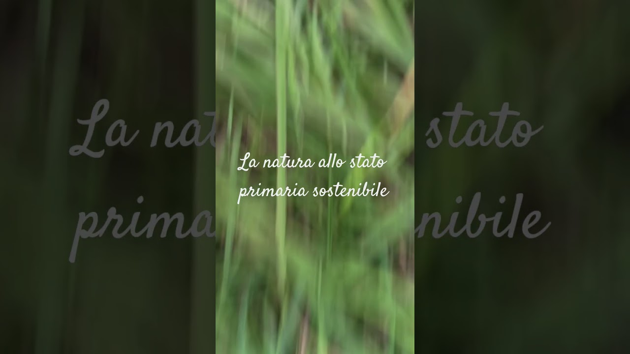 al di l&agrave; dello stato primaria naturale