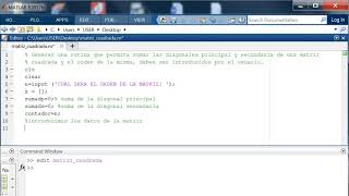 suma diagonal principal y secundaria de una matriz en matlab