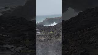 Blow hole walonggong sydney australia/leth naval/#youtube #blowhole #viralshort #viralvideo #explore