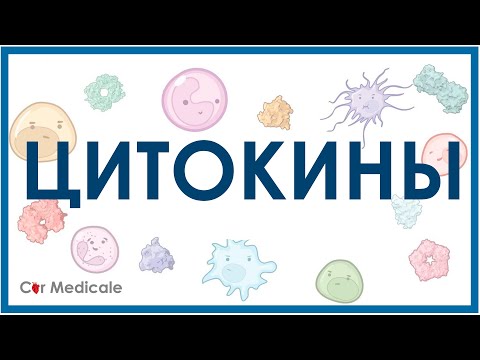 Видео: Разница между цитокинами и хемокинами