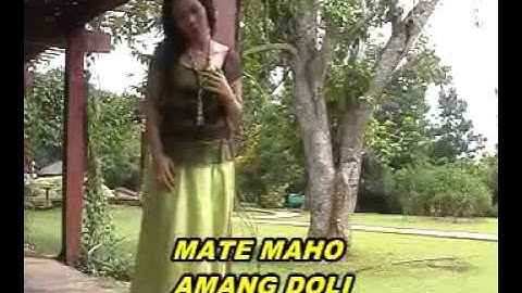 PUTRI SILITONGA - NAHI NALI BAKKUDU