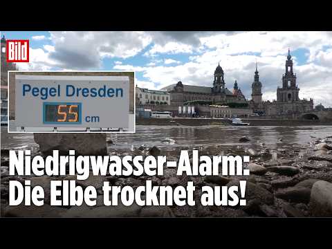 Dresdens Elbe in Not: Hier fährt bald kein Schiff mehr!