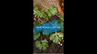 فوائد الكزبرة وبذورها للصحة