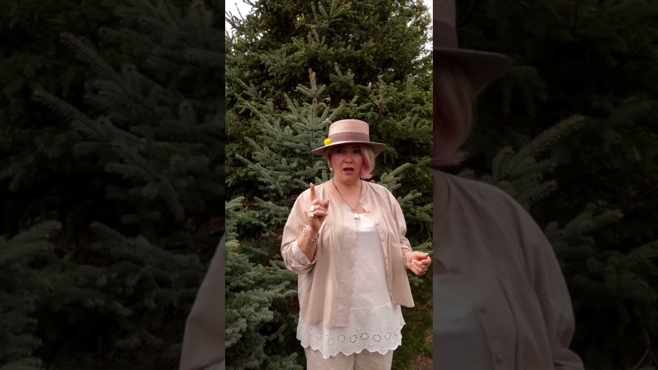 Тимьян. Почему он король  весны в вашем саду 