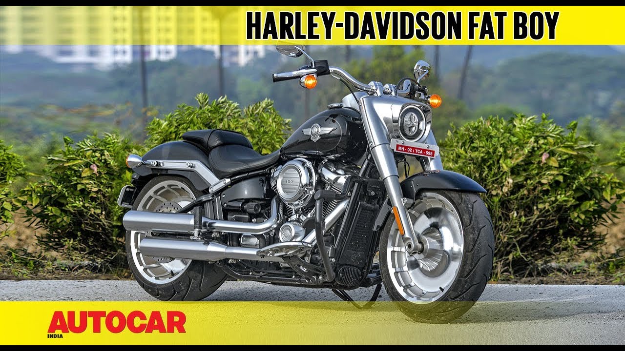 harley davidson fat