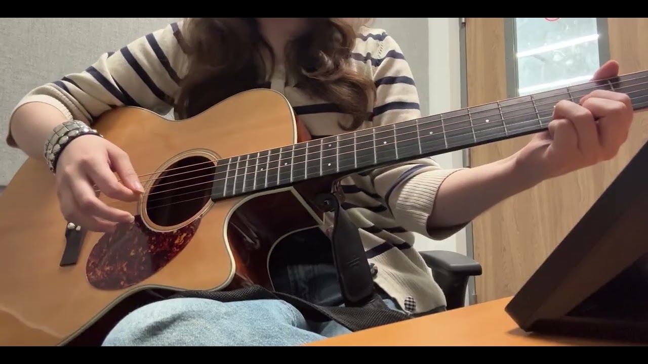 Sackcloth and Ashes - Mr T. Experience guitar cover